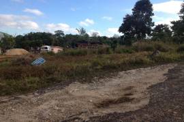 Residential Lot for Sale in Mandeville