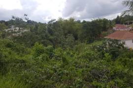 Residential Lot for Sale in Mandeville