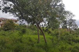 Residential Lot for Sale in Mandeville