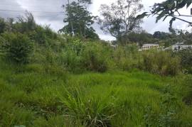 Residential Lot for Sale in Mandeville