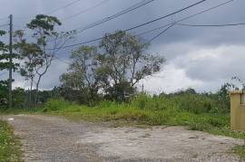 Residential Lot for Sale in Mandeville