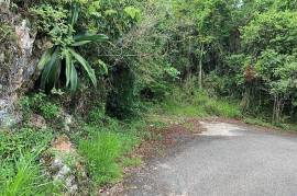 Residential Lot for Sale in Red Hills