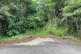 Residential Lot for Sale in Red Hills