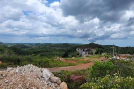 Residential Lot for Sale in Hat Field