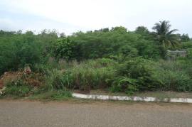 Residential Lot for Sale in Spanish Town