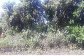 Residential Lot for Sale in Retreat