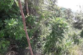 Residential Lot for Sale in Retreat