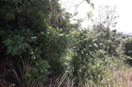 Residential Lot for Sale in Retreat