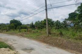 Residential Lot for Sale in Linstead