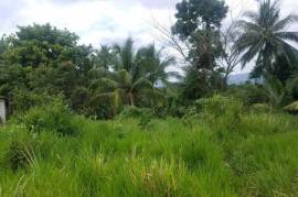 Residential Lot for Sale in Linstead