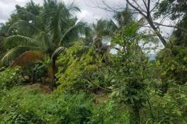 Residential Lot for Sale in Linstead