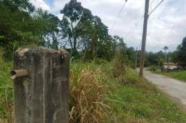 Residential Lot for Sale in Linstead