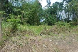 Residential Lot for Sale in Linstead