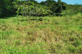 Residential Lot for Sale in Santa Cruz