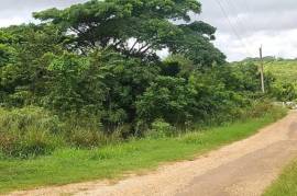 Residential Lot for Sale in Falmouth