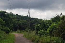 Residential Lot for Sale in Falmouth