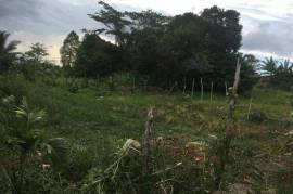 Residential Lot for Sale in Kellits