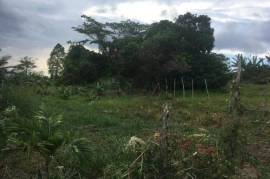 Residential Lot for Sale in Kellits