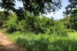 Residential Lot for Sale in Spanish Town