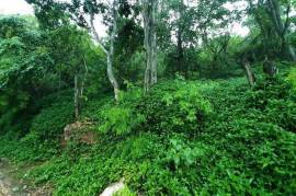 Residential Lot for Sale in Red Hills