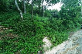 Residential Lot for Sale in Red Hills