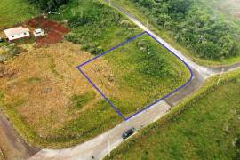 Residential Lot for Sale in Spur Tree