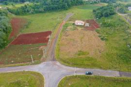 Residential Lot for Sale in Spur Tree