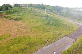 Residential Lot for Sale in Spur Tree