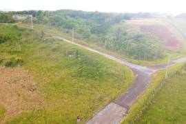 Residential Lot for Sale in Spur Tree