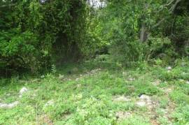 Residential Lot for Sale in Mandeville