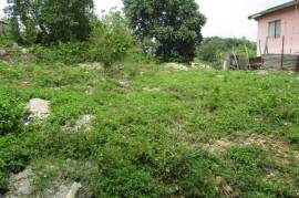 Residential Lot for Sale in Mandeville