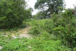 Residential Lot for Sale in Mandeville