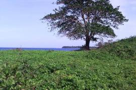 Residential Lot for Sale in Hope Bay