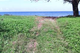 Residential Lot for Sale in Hope Bay