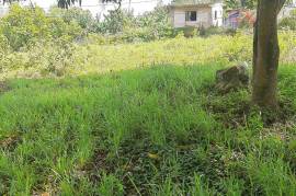 Residential Lot for Sale in Browns Town