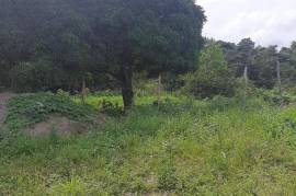 Residential Lot for Sale in Browns Town