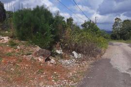 Residential Lot for Sale in Browns Town