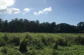 Residential Lot for Sale in Bog Walk