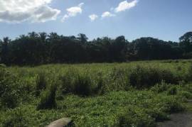 Residential Lot for Sale in Bog Walk