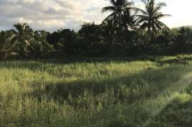 Residential Lot for Sale in Bog Walk