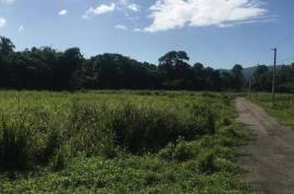 Residential Lot for Sale in Bog Walk