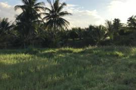 Residential Lot for Sale in Bog Walk