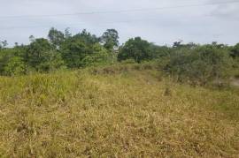 Residential Lot for Sale in Knockpatrick