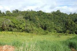 Residential Lot for Sale in Williamsfield