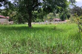 Residential Lot for Sale in Browns Town