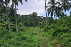 Residential Lot for Sale in Guys Hill