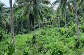 Residential Lot for Sale in Guys Hill