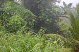 Residential Lot for Sale in Red Hills