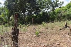 Residential Lot for Sale in Braes River