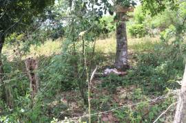 Residential Lot for Sale in Braes River